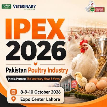 Events In Lahore